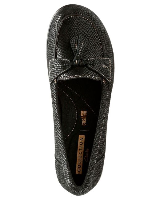 clarks ashland bubble
