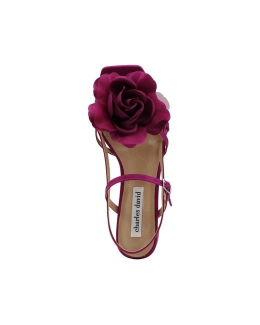 Charles David Purple Deb