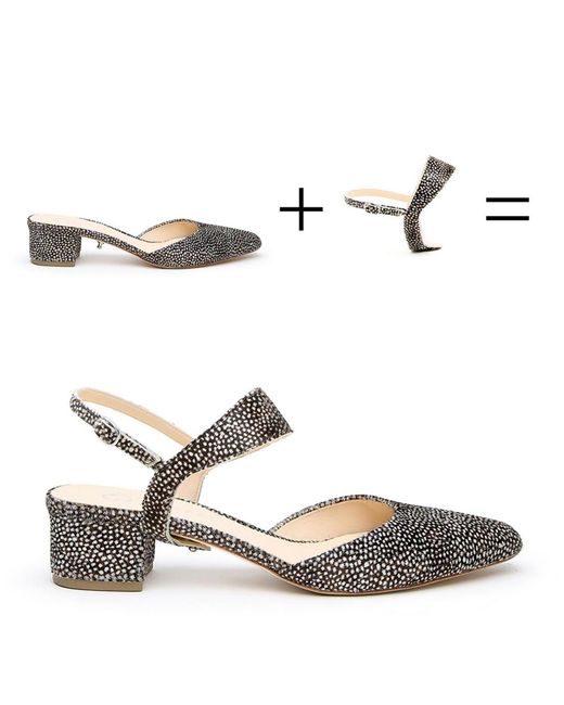 Alterre Metallic Elsie Customizable Slides
