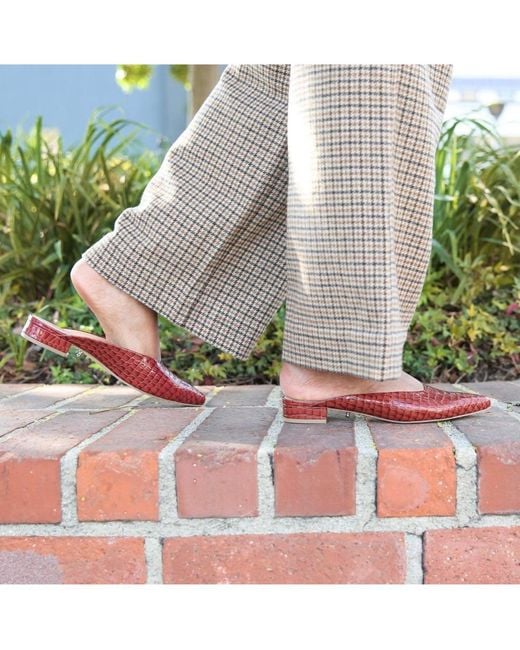 Alterre Red Amal Customizable Point Slides