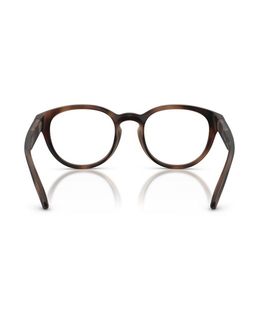 Polo Ralph Lauren Brown Panthos Eyeglasses for men
