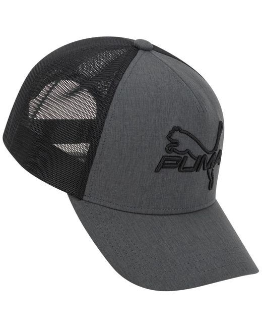 PUMA Gray 3d Embroidered Logo Cap for men