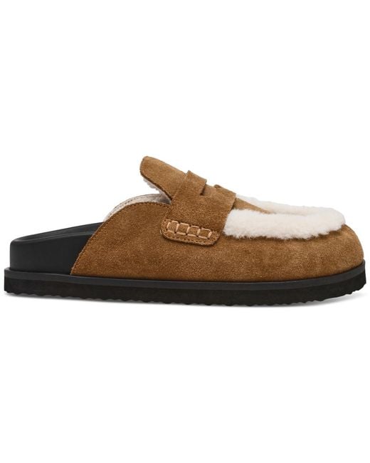 Steve Madden Brown Tomlin Cozy Clogs