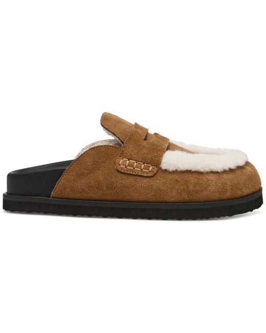 Steve Madden Brown Tomlin Cozy Clogs