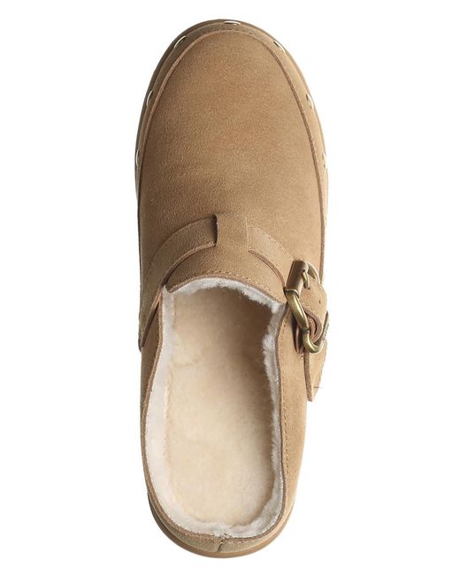 BEARPAW Brown Falyn Platform Buckle Clogs