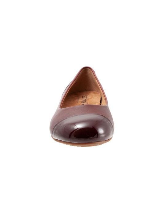 Softwalk® Brown Sonoma Cap Toe Flat