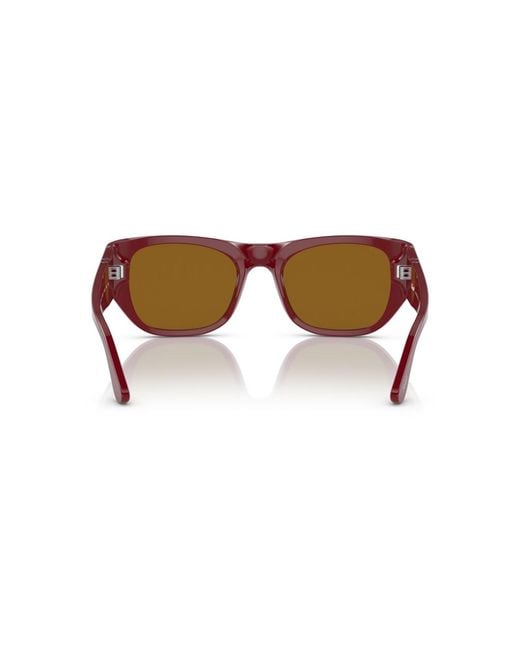 Persol Brown Sunglasses