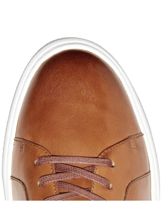 cole haan avalon sneaker