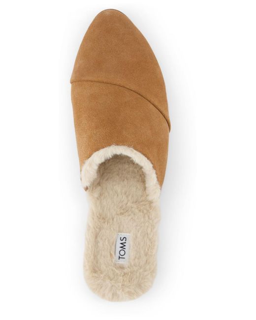 toms mule flats