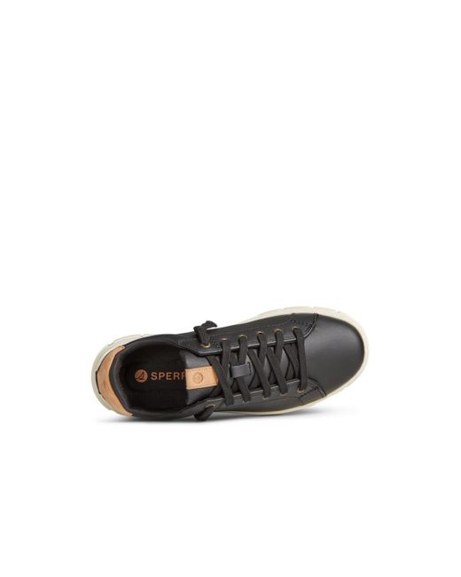 Sperry Top-Sider Black Winslow Round Toe Sneakers
