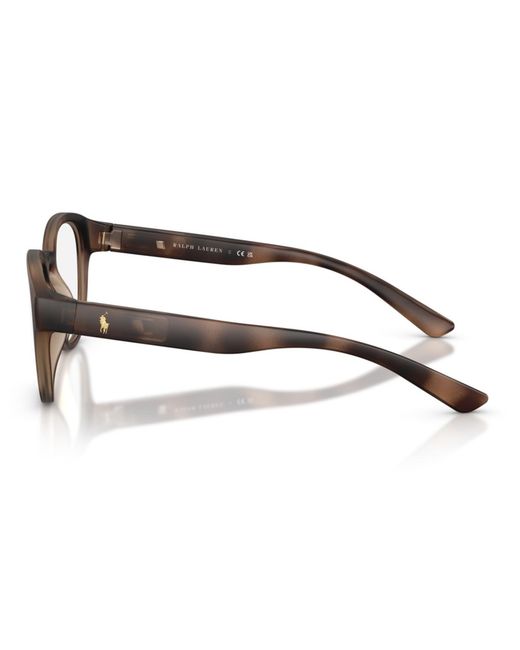Polo Ralph Lauren Brown Panthos Eyeglasses for men