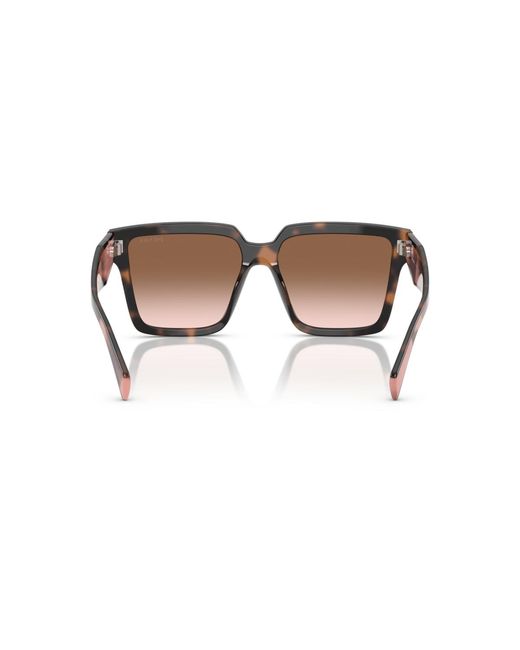 Prada Brown Large Sunglasses
