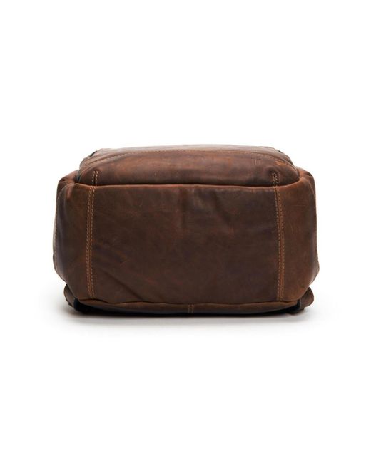 Frye Brown Logan Backpack for men