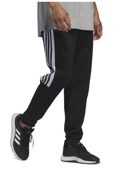 Adidas Black Essentials Regular-fit Colorblocked Tricot joggers for men