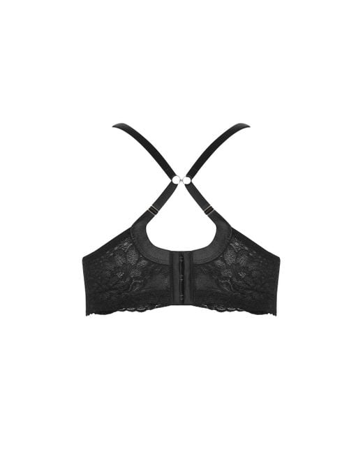 City Chic Blue Plus Size Allure Push Up Bra