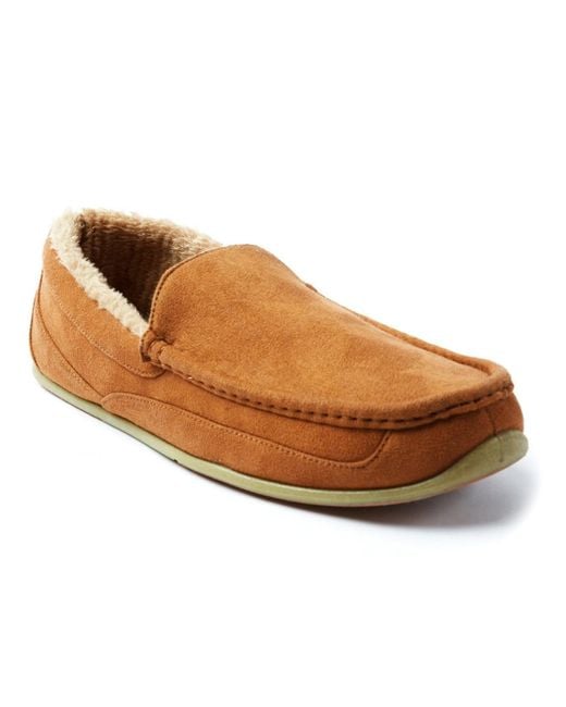 Slipperooz by deer stags hotsell