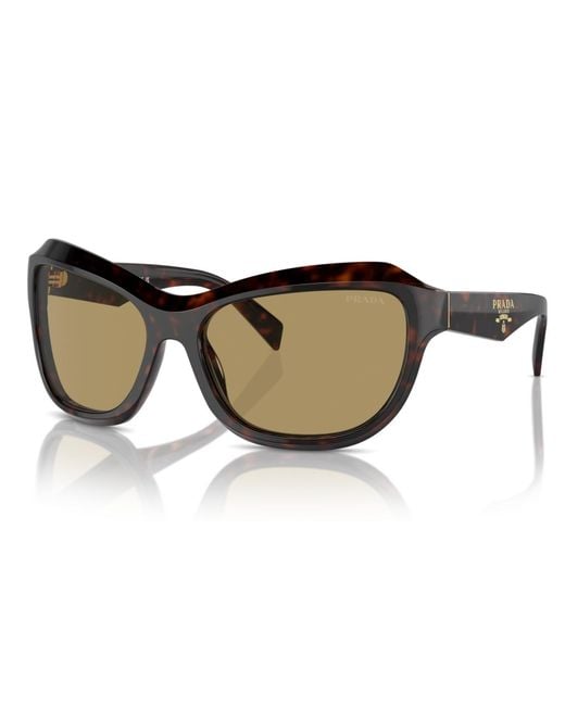 Prada Brown Swing Butterfly Sunglasses