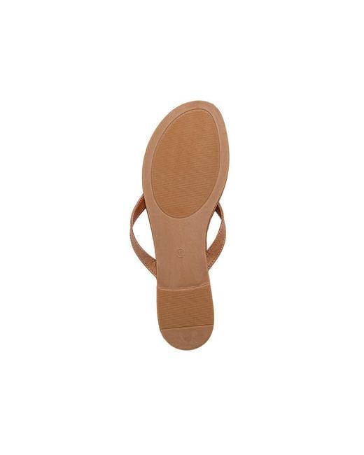 Bebe Brown S Flat Sandals