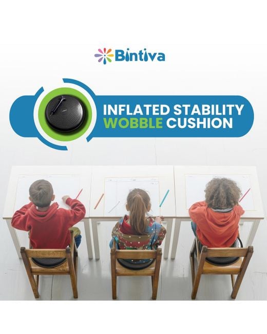 Bintiva Blue Balance Disc