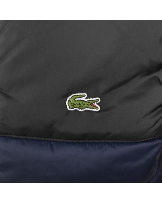Lacoste Blue Hooded Logo Gilet for men