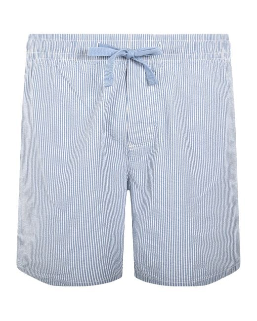 Tommy Hilfiger Blue Striped Beach Shorts for men