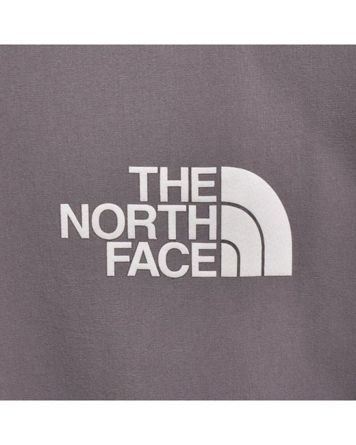 The North Face Gray Ushba Joggers for men