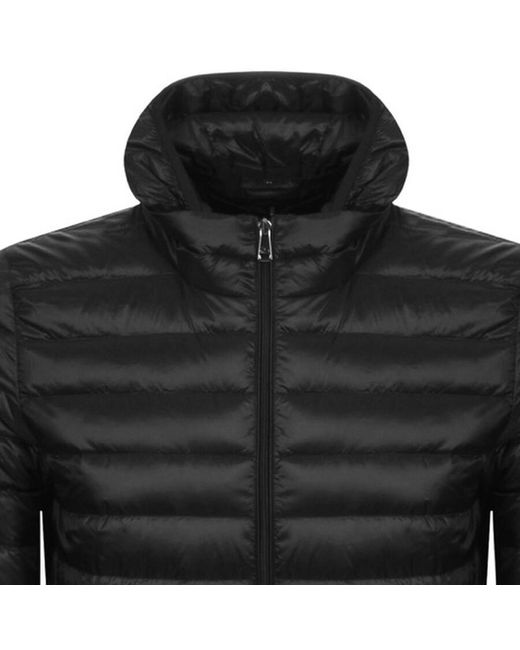 Paul & Shark Black Paul And Shark Hooded Quilted Jacket for men