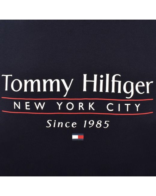 Tommy Hilfiger Blue Logo Center Stack Hoodie for men