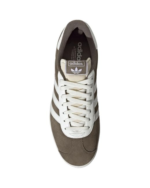 Adidas Originals Brown Gazelle Trainers for men