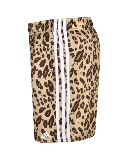 Adidas Originals Natural Adidas Animal Print Swim Shorts for men