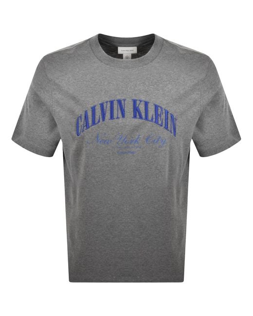 Calvin Klein Gray Logo T Shirt for men