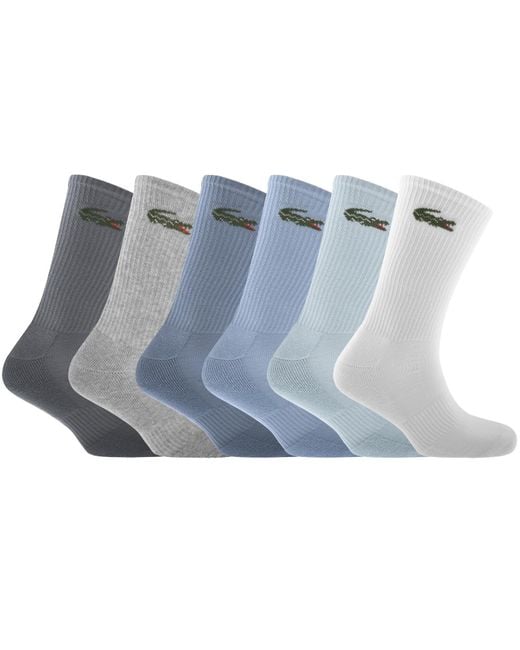 Lacoste Blue 6 Pack Ribbed Crew Socks for men