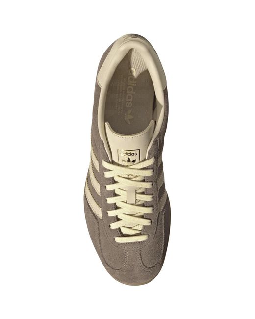 Adidas Originals Brown Gazelle Indoor Trainers for men