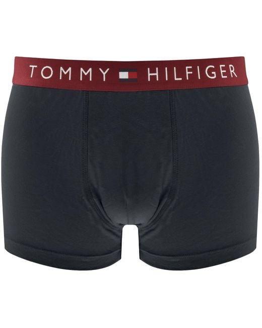 Tommy Hilfiger Multicolor Underwear 3 Pack for men