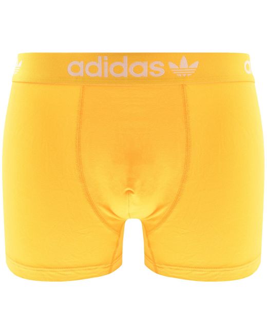 Adidas Originals Yellow 3 Pack Trunks for men