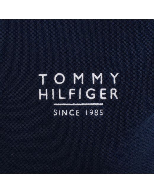 Tommy Hilfiger Blue Knit Polo Carbon for men