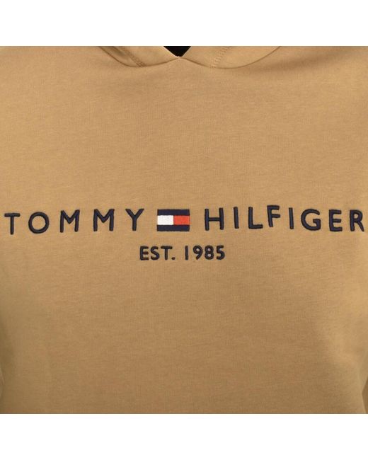 Tommy Hilfiger Natural Logo Hoodie for men