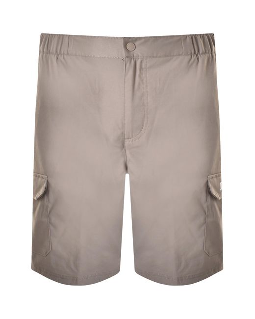 Berghaus Gray Kirkfell Cargo Shorts for men