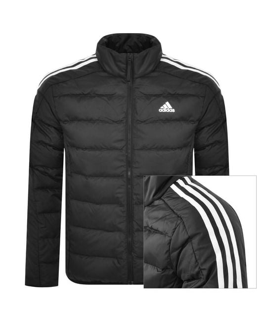 Adidas Originals Black Adidas Essentials Light Down Jacket for men