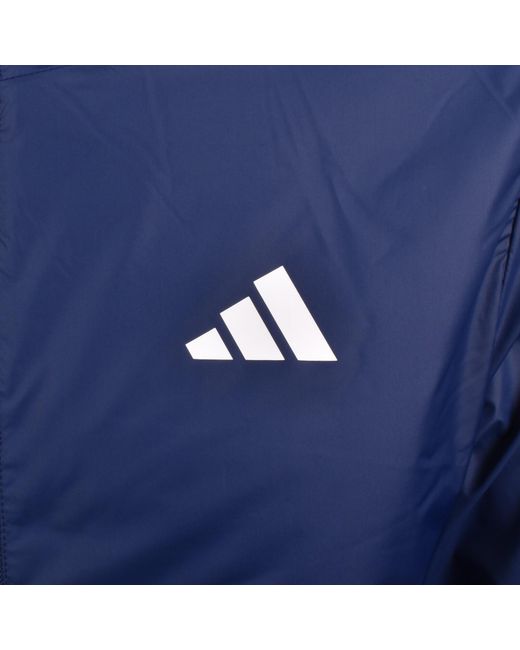 Adidas Blue Essential Jacket for men