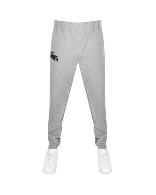 Lacoste Cotton Logo jogging Bottoms in 