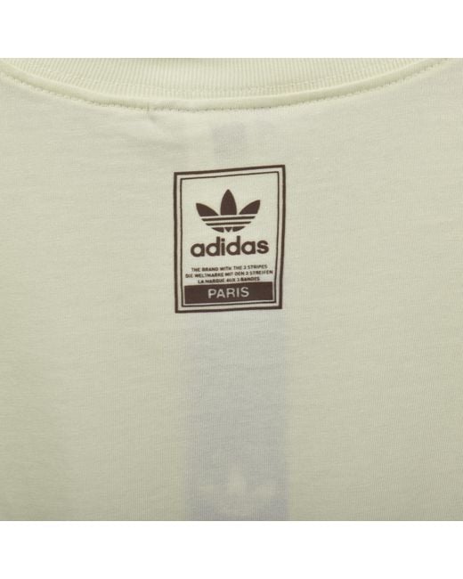 Adidas Originals Natural Paris Kc T Shirt for men