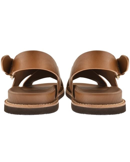 Ralph Lauren Brown Zane Leather Sandals for men