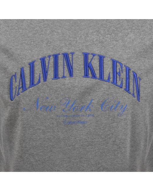 Calvin Klein Gray Logo T Shirt for men