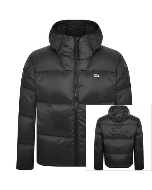Lacoste Black Short Hooded Puffer Jacket for men