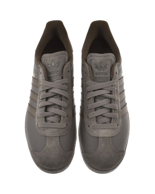 Adidas Originals Brown Gazelle Trainers for men