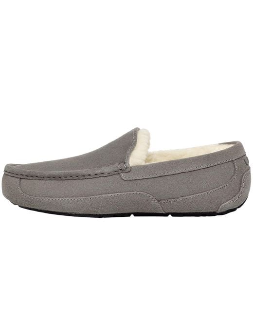 Ugg Gray Ascot Slippers for men