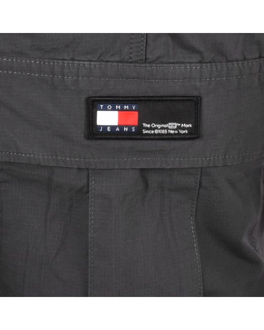 Tommy Hilfiger Gray Ethan Cargo Trousers for men