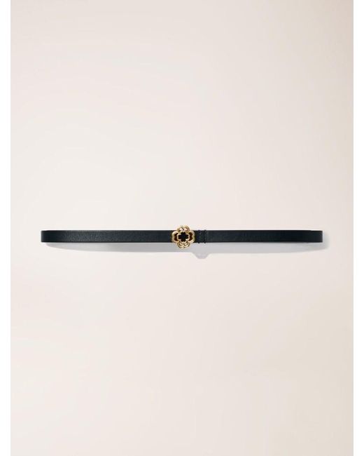 Ceinture Fine Clover Maje en coloris Black