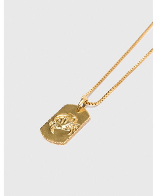 Maje White Zodiac Sign Plaque Necklace
